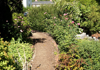 Garden path.
