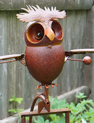 Kinetic owl.