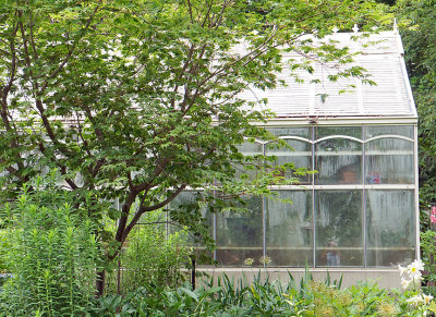 Greenhouse exterior.