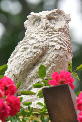 Owl sculpture on arch of roses.