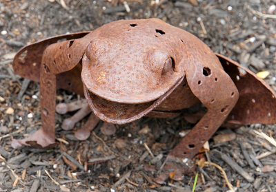 Rusty frog sculpture.
