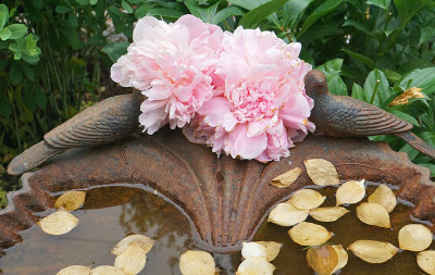 Dove birdbath with peonies, detail.