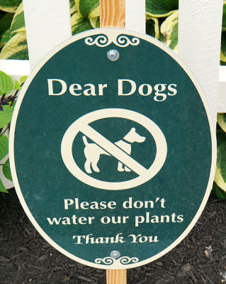 Dog sign. Can your dog read?