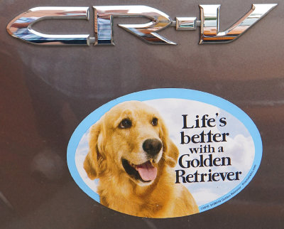 Golden Retriever sticker.