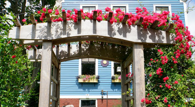Arch with roses.