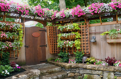 Patio in Petunia City!