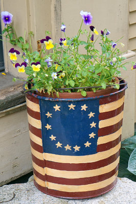 Patriotic pansy pot. Pleasant Street.