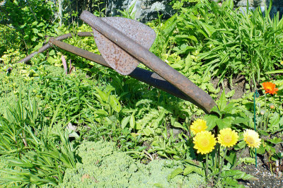 Anchor and asters. 6 Wentworth.