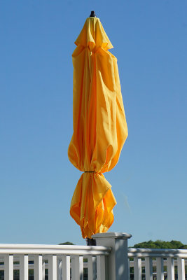 Furled umbrella. 33 Walbach.