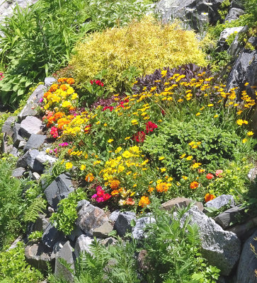 Shore garden. 61 Walbach.