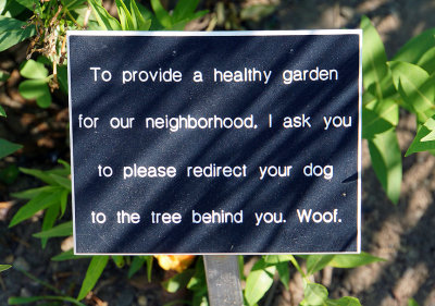 Can your dog read?