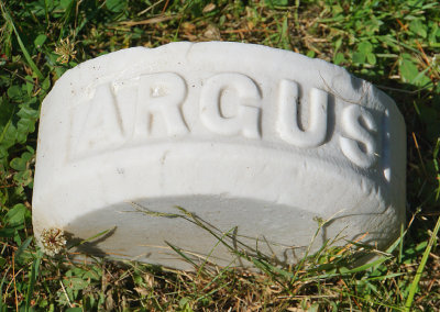 Pet cemetery - Argus dog.