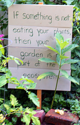 Signage.
