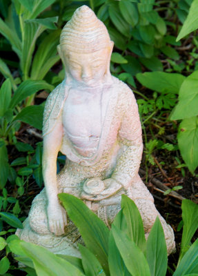 Buddha in the leaves.