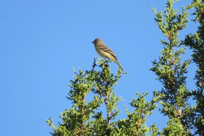 IMG_5696.jpg