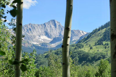 IMG_7529.jpg