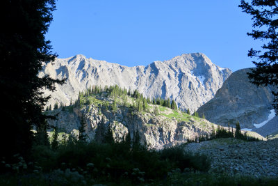 IMG_7653.jpg