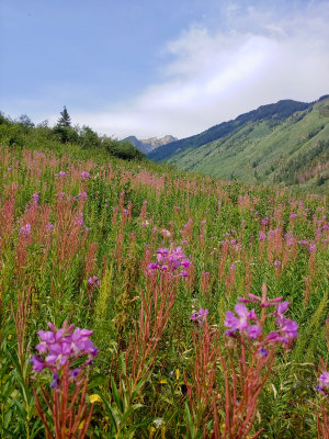 20190823_095933_HDR.jpg