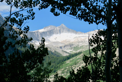 IMG_8493.jpg