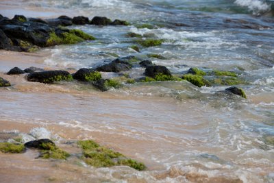 Kauai_2019_Small_1_of_18.jpg