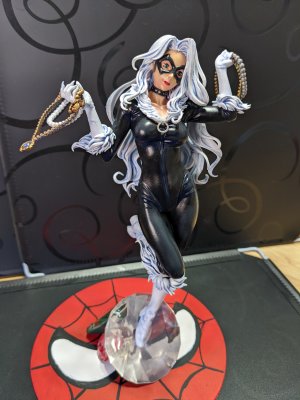 1/6 Black Cat