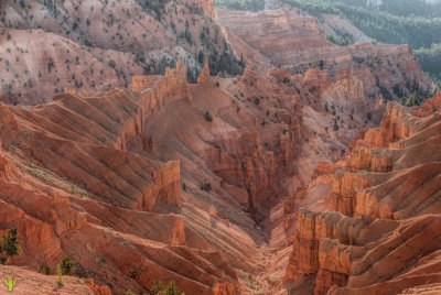 Cedar Breaks