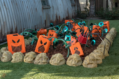 Spooky Pumpkin Patch