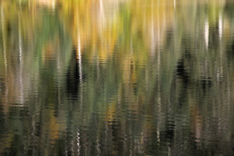 IMG_8005