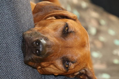 C'est l'heure de la sieste - It's time for a little nap