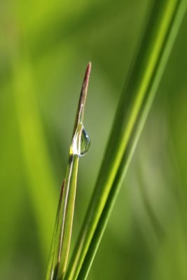 IMG_6010