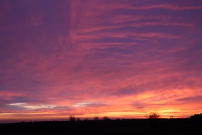 IMG_2871
