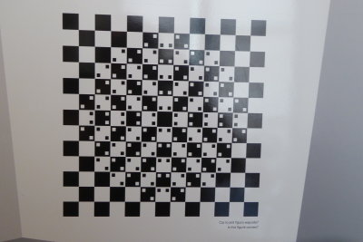 Is the figure convexe ? No all the lines are perfectly parallel, it is just an interpretation of our brain