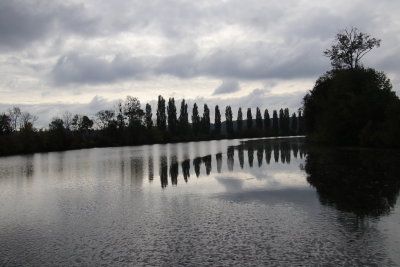 Les peupliers se mirent dans les eaux calmes de la Sane.