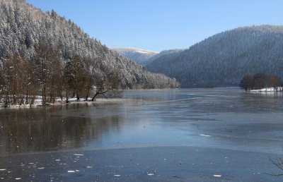 IMG_4830