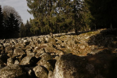 Le champs de roche de Barbey-Seroux, un mystre pour les gologues