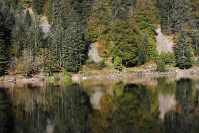 Niché à 887 mètres d'altititude au milieu des sapins, le lac des Corbeaux est l'un des joyaux du massif vosgien.