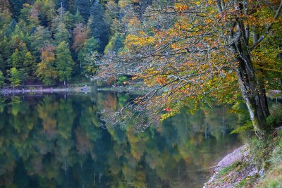 Nestled 887 meters high, le Lac des Corbeaux ( Ravens lake) is a jewel of the Vosges Mountains.