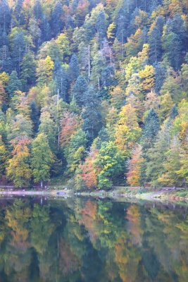 Nestled 887 meters high, The lake of Crows is a jewel of the Vosges Mountains.