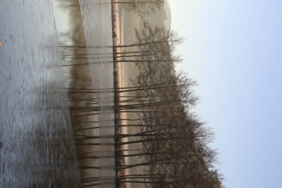 Reflets aux Trois Etangs