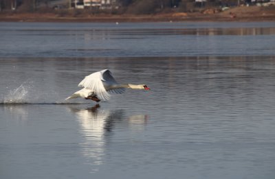 IMG_8327