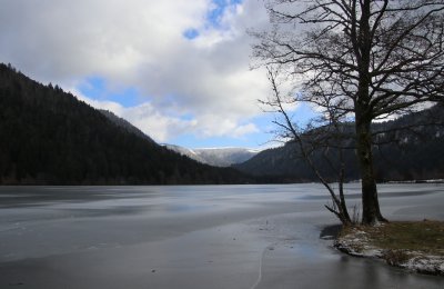 g12/03/717403/3/172375590.V4389dLf.jpg