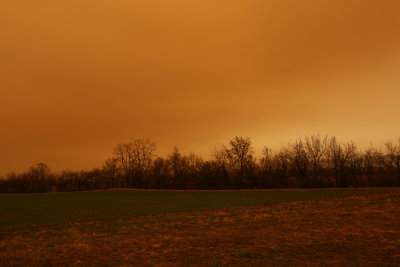 Une nouvelle tempête de sable venue du Sahara a coloré le ciel français d'orange et d'ocre