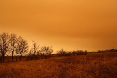 Une nouvelle tempête de sable venue du Sahara a coloré le ciel français d'orange et d'ocre