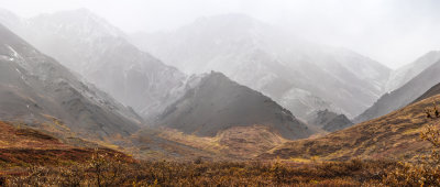 Denali Park Road