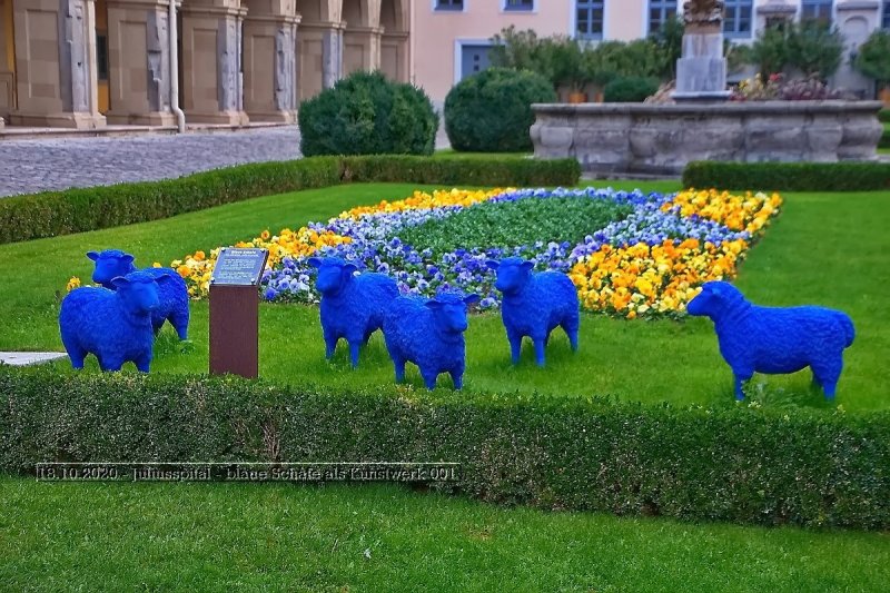 18.10.2020 - Juliusspital - blaue Schafe als Kunstwerk 001.jpg