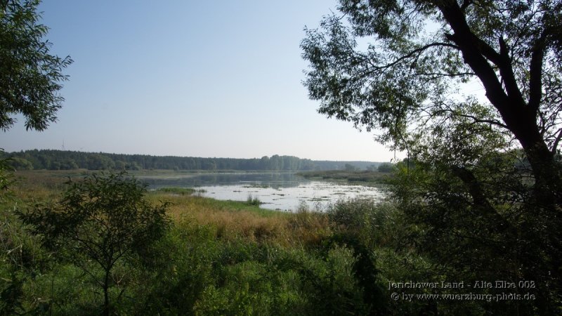 Jerichower Land - Alte Elbe 002.jpg
