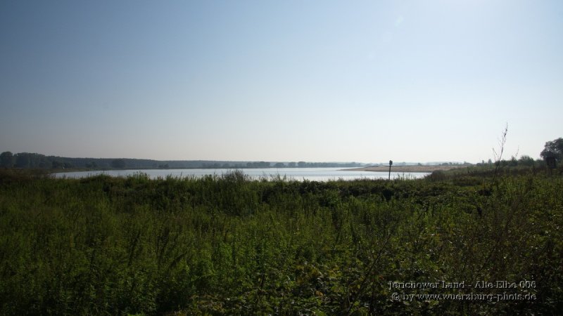 Jerichower Land - Alte Elbe 006.jpg