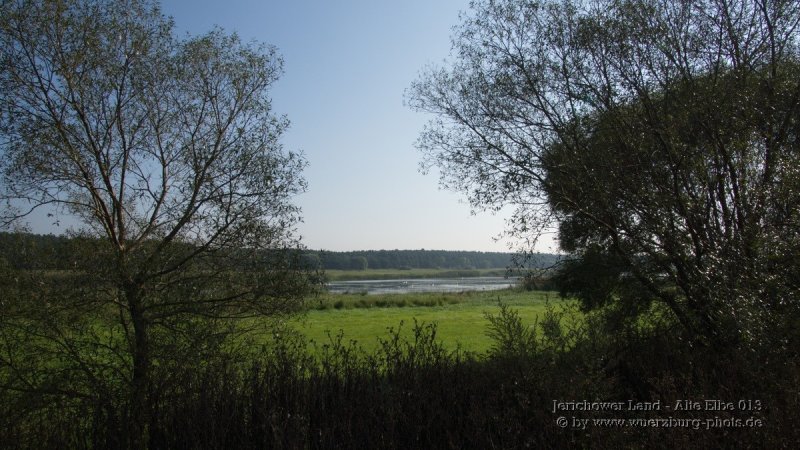 Jerichower Land - Alte Elbe 013.jpg
