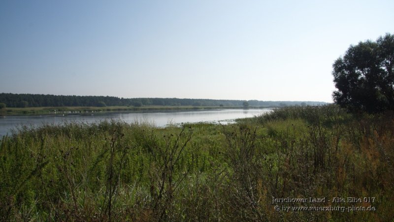 Jerichower Land - Alte Elbe 017.jpg