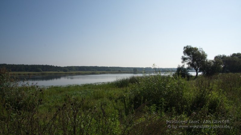 Jerichower Land - Alte Elbe 018.jpg